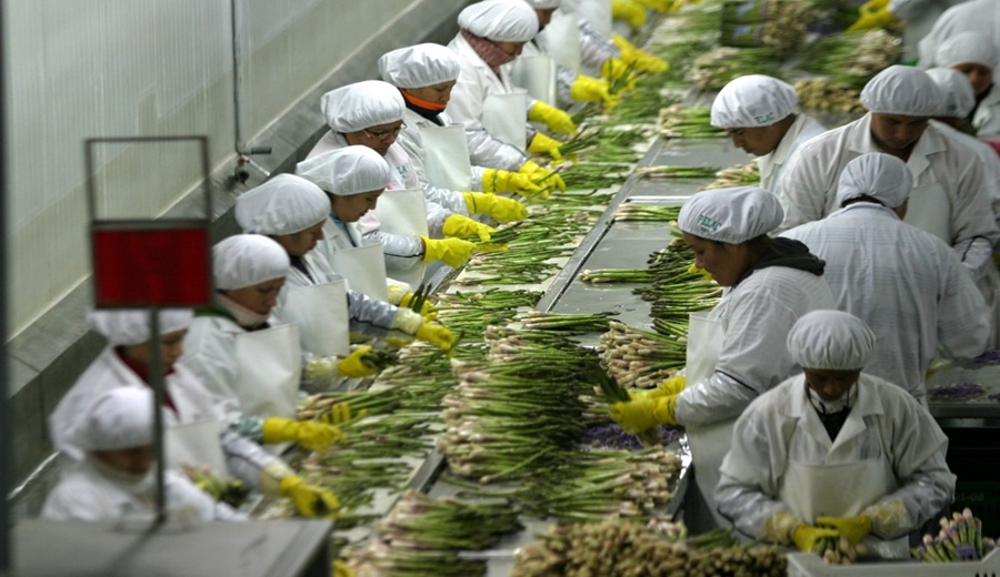 MIDAGRI agroexportaciones alcanzaron casi US$ 3,000 millones en el primer trimestre del año