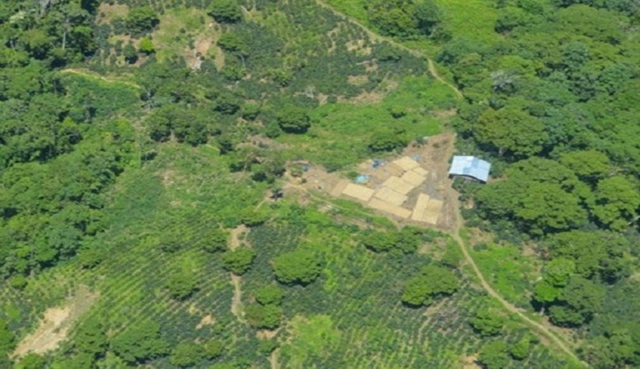 Minam utiliza información satelital de diversas fuentes para monitorear los bosques amazónicos