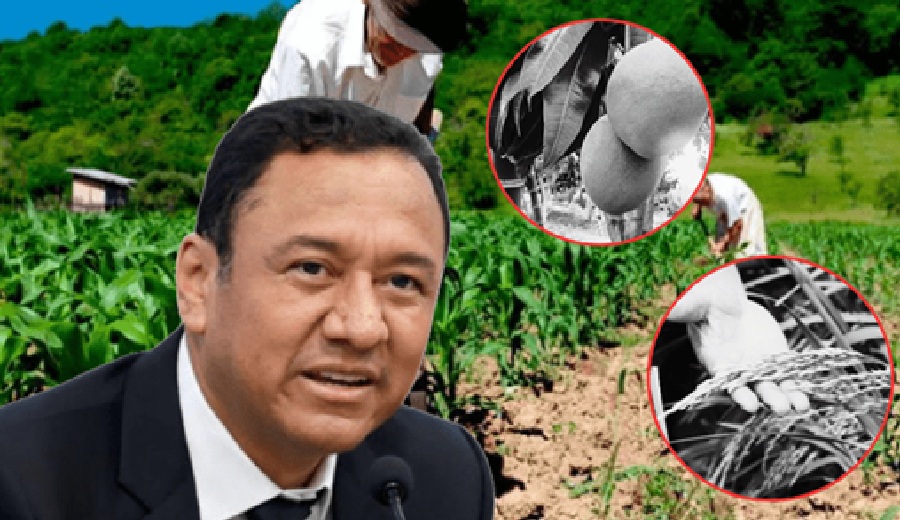 Ministro de Agricultura en la mira por comentarios contra la agricultura familiar
