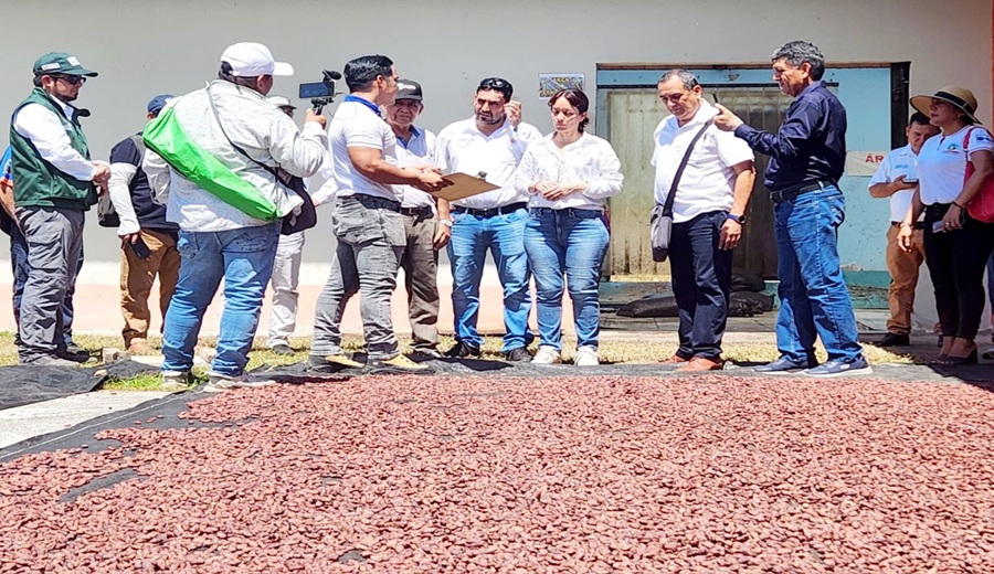 San Martín refuerza alianzas para potenciar el cacao en Juanjuí