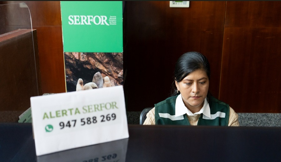 ALERTA SERFOR más de 1,800 atenciones y 340 reportes hasta mayo del 2025