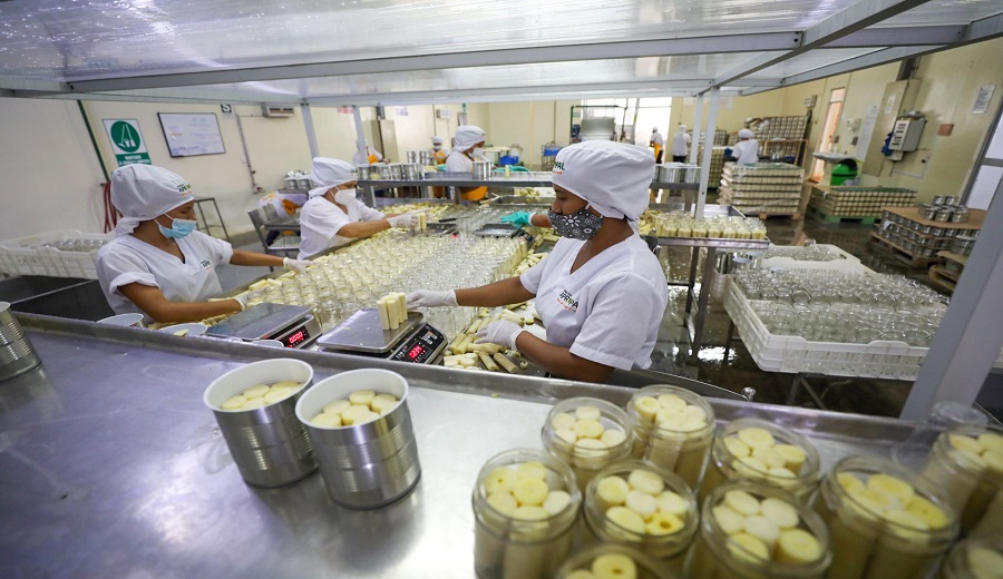 Agroexportaciones peruanas se duplicarán con la reactivación de cuatro grandes proyectos de irrigación