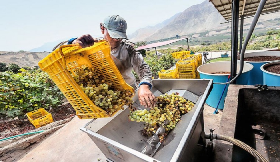 BCR avance de la economía está asociado al desempeño de sectores no primarios