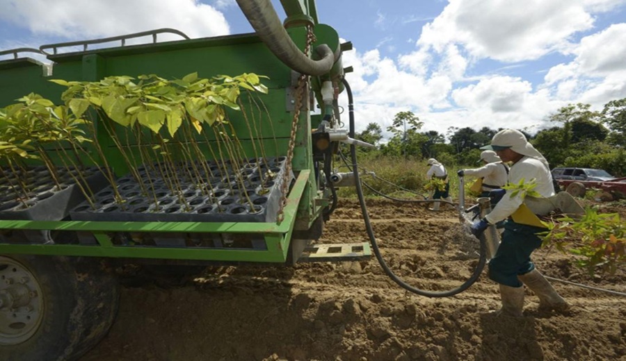 Congreso da luz verde inicial a la nueva Ley Agraria