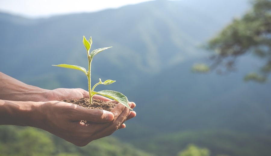 Día Mundial del Medio Ambiente la agricultura sostenible florece con innovación y compromiso
