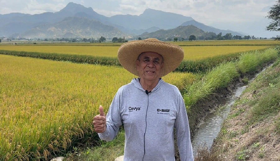 Día del Campesino: el agro que nos alimenta y los más de 2 millones de peruanos que lo hacen posible