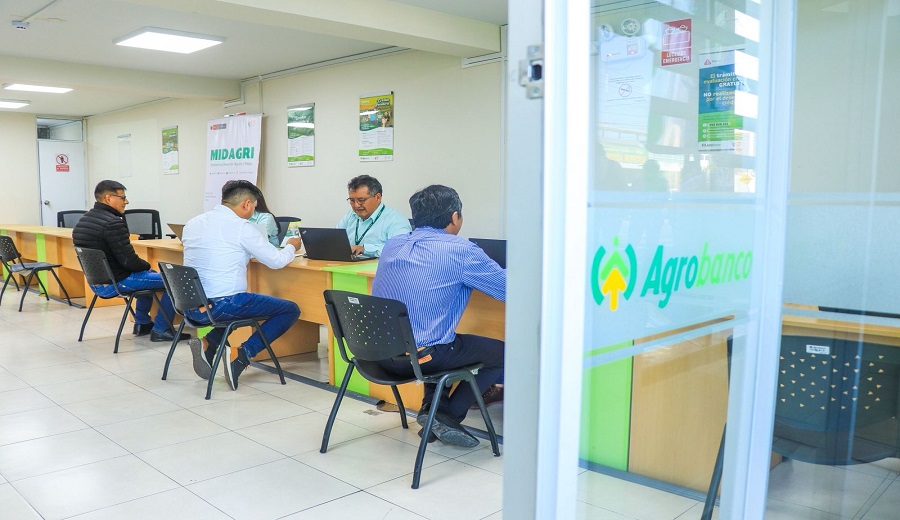 Durante el 2025, más de S 312 millones en créditos han sido otorgados a productores organizados, gracias al Fondo Agroperú