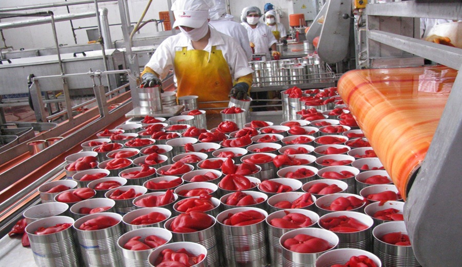 Exportación peruana de ajíes y pimientos presenta mejores perspectivas