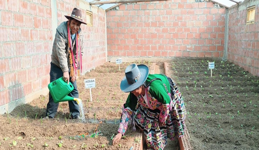 Gobierno realiza acciones para mitigar los efectos de las heladas y entrega S 1000 en insumos agrícolas en apoyo a la agricultura familiar
