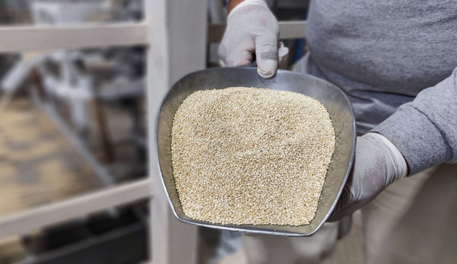 Granos andinos peruanos alcanzan crecimiento de 16.8% en exportaciones durante primeros meses de 2025