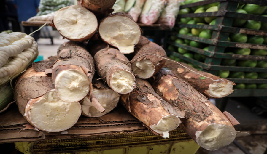 Hubo en los mercados mayoristas hay ofertas de yuca, cebolla, limón, camote, piña, sandía, papaya y otros