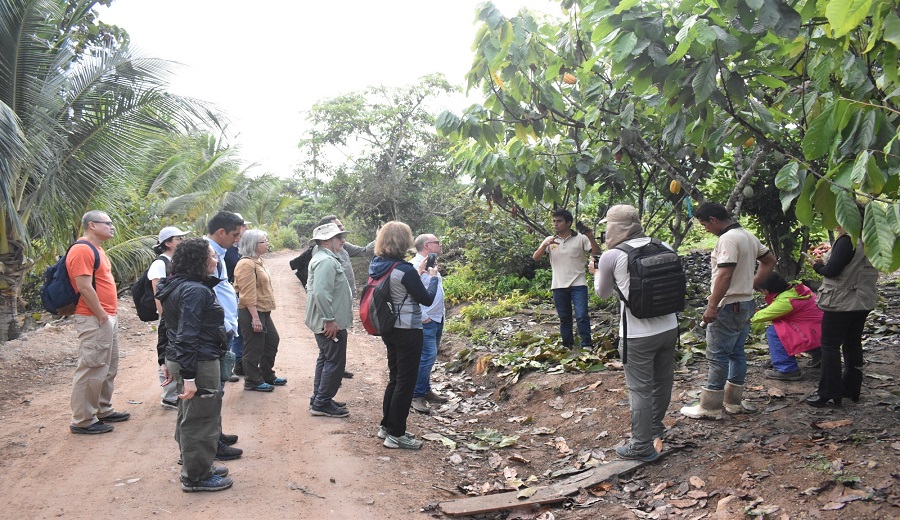 MIDAGRI Perú promueve modelos de producción sostenibles de café y cacao en el marco del cumplimiento del nuevo reglamento de la EUDR