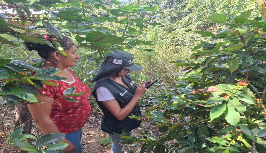 MIDAGRI lidera proceso de geolocalización de zonas de producción en 13 regiones para el cumplimiento de la reglamentación de la Unión Europe