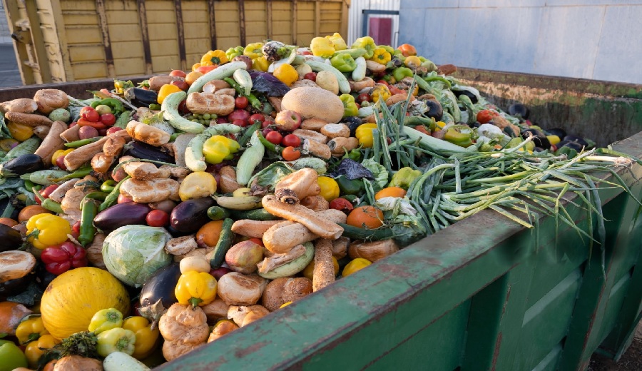 Nueve millones de toneladas de alimentos son desperdiciados en el Perú Qué pueden hacer las empresas