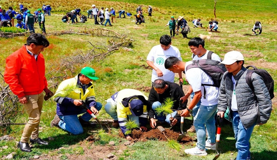 Resaltan fruto del trabajo articulado en la reforestación en Cajamarca