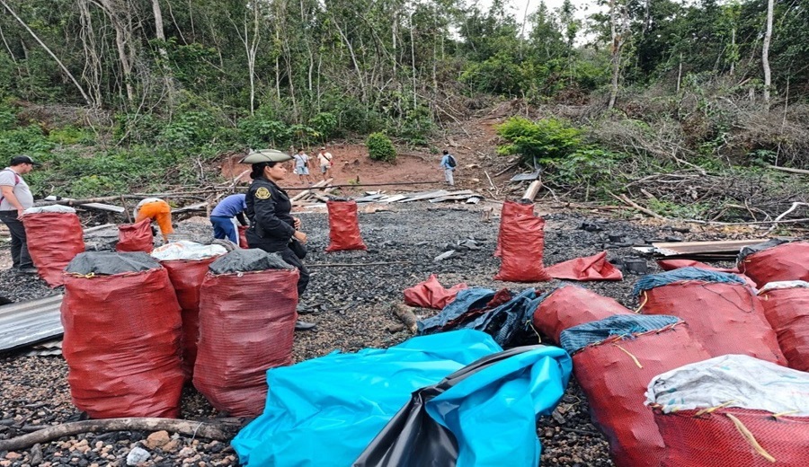 San Martín incautan 14 toneladas de carbón vegetal ilegal en Tingo de Ponaza