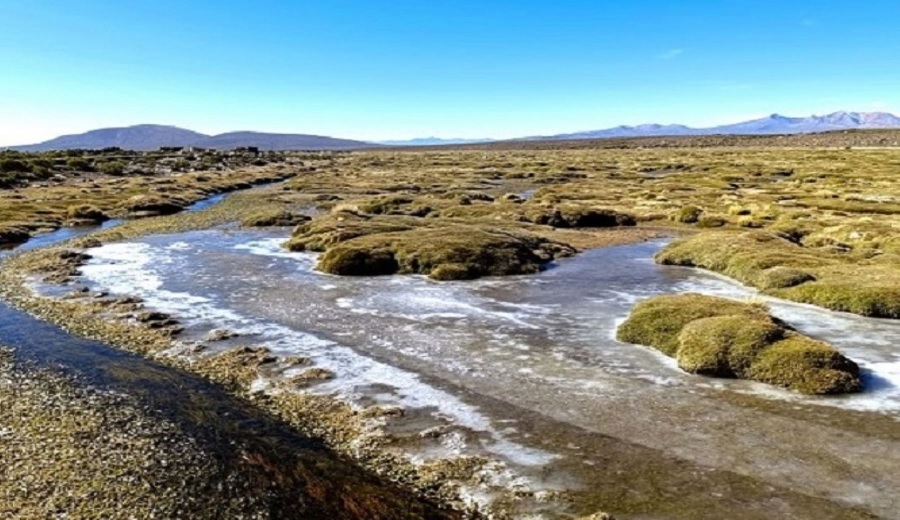 Tacna Sunass usa drones para monitoreo en la cuenca Uchusuma a fin de promover la conservación de los ecosistemas hídricos