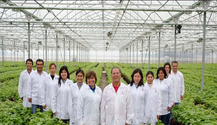 Vivero Los Viñedos se alía con SynergiaBIO para revolucionar la producción vegetal en Perú