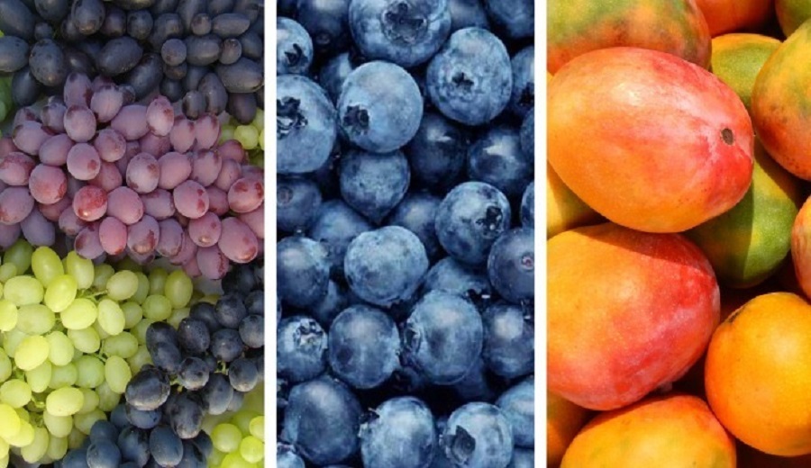 Alerta agrícola Especialistas advierten que cambio de clima podría revertir baja presencia de la mosca de la fruta