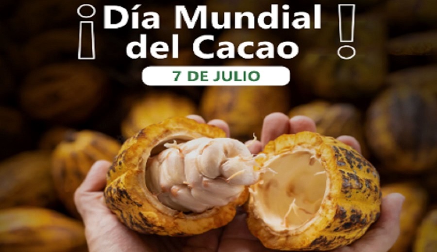 Cacao peruano propiedades, beneficios y su origen milenario