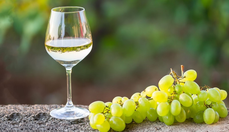 Día Nacional del Pisco La uva peruana, motor estratégico de la economía y la cultura nacional