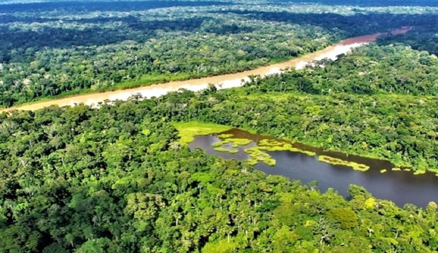 Es posible conservar los bosques y generar desarrollo