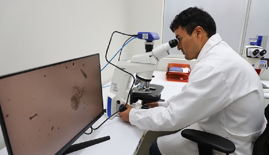 Gobierno implementa moderno Centro de Producción de Insectos y Ácaros Benéficos en Ate