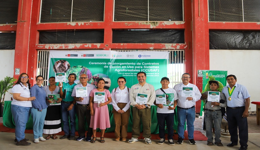 Huánuco SERFOR y gobierno regional entregan 67 contratos de cesión en uso para sistemas agroforestales