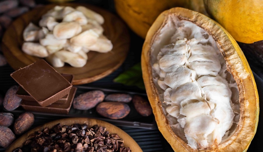 INACAL impulsa la calidad del cacao peruano con 49 normas técnicas en el salón del cacao y chocolate internacional 2025