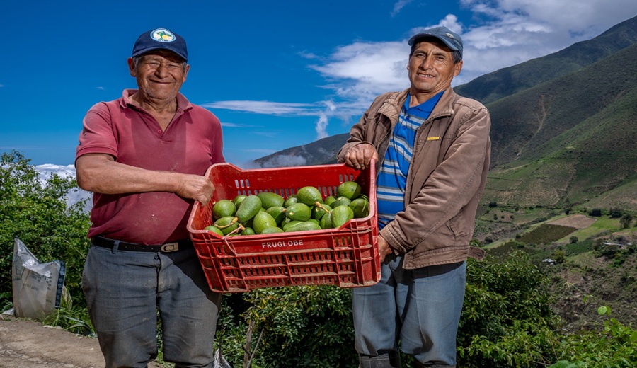 MIDAGRI Gobierno logró 59 nuevos accesos de productos agropecuarios hacia 22 mercados internacional
