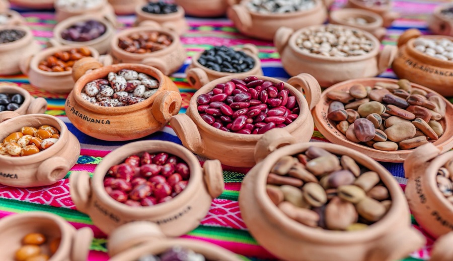 MIDAGRI Producción anual de legumbres conquista más de 45 mercados del mundo