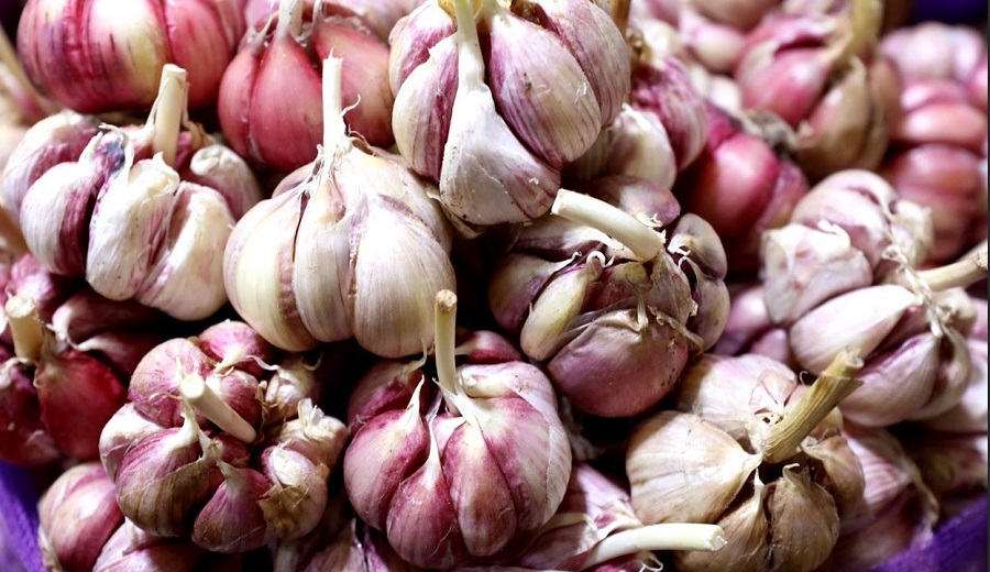 MIDAGRI: ajo, cebolla, tomate y papa entre los productos con mayores reducciones de precio