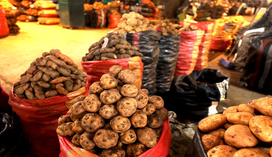 MIDAGRI papas, zanahorias y frutas llegan con buena oferta y precios bajos