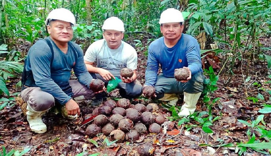Madre de Dios productores asociados comercializan por primera vez castaña amazónica a la India