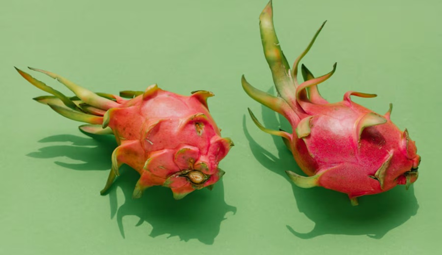No más pitahaya de Ecuador Perú cierra sus fronteras al producto, por qué