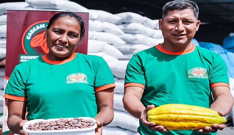 Productores de Ucayali exportan 175 toneladas de cacao a Italia, Países Bajos y Estados Unidos