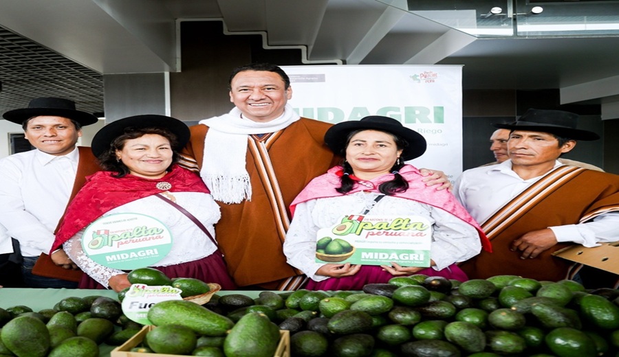 Día nacional de la palta motor del agro peruano y la embajadora en el mundo
