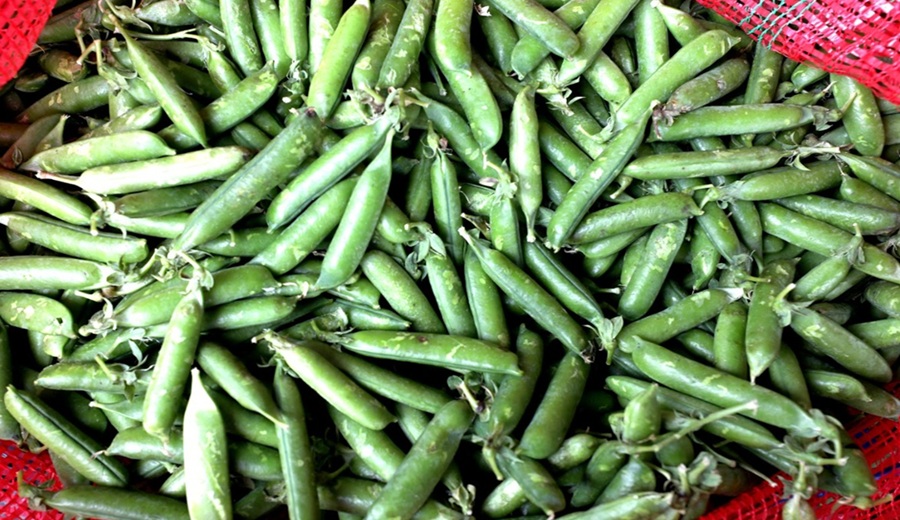 En los mercados mayoristas hubieron ofertas de arveja, camote, tomate, fresa, piña, melón y otros