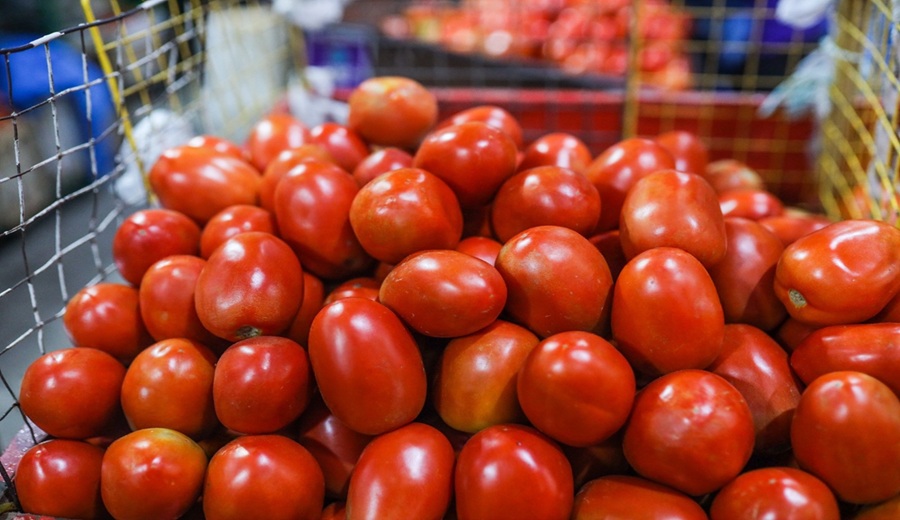 En los mercados mayoristas hubo ofertas de tomate, zanahoria, frijol, uva, papaya, palta y otros