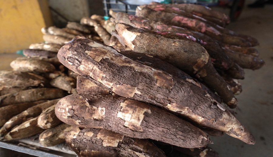 En los mercados mayoristas hubo ofertas de yuca, frijol, zapallo, piña, manzana, plátano y otros