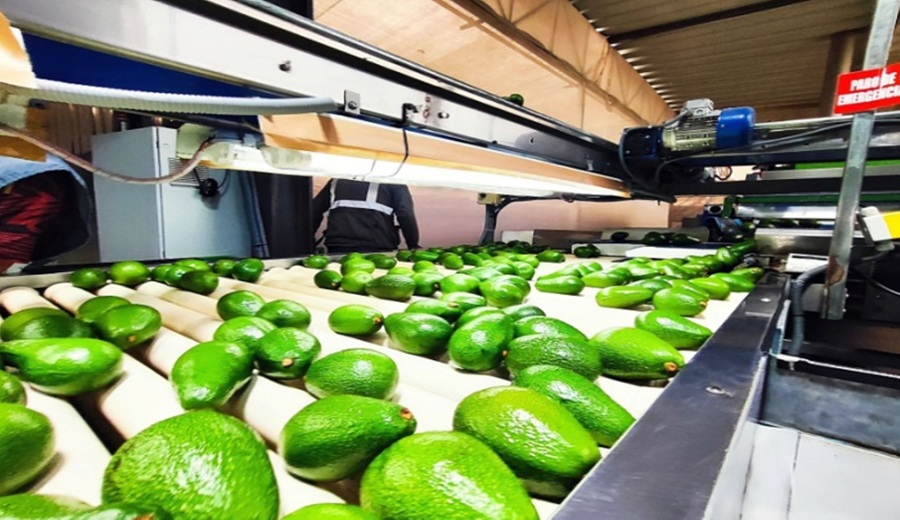 Francia identifica oportunidades para agroexportaciones peruanas