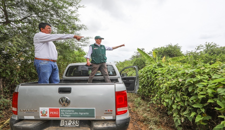 Gobierno cuenta con el Seguro Agrícola SAC para productores agrarios que resulten afectados por vientos fuertes