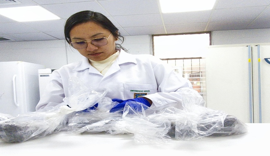 Investigación con impacto estudiantes UNALM llevarán la ciencia a Colombia y México
