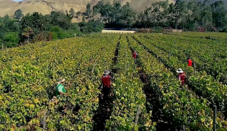 La agricultura peruana avanza con ciencia y planificación