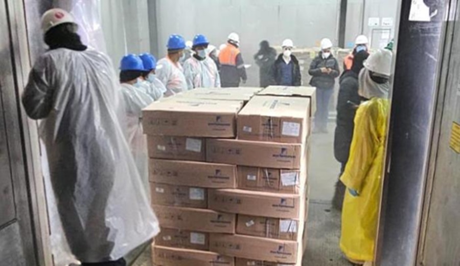 MIDAGRI: Perú concreta su primera exportación de aves tras recuperar estatus como país libre de Influenza Aviar