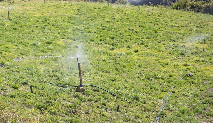 Midagri convoca a empresas para ejecutar obras de riego tecnificado en 3 regiones