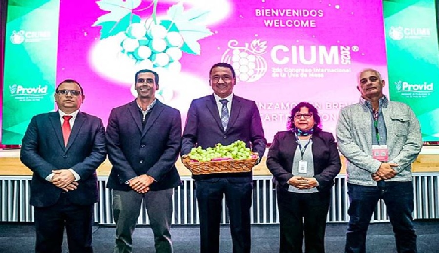 Midagri impulsa el potencial agroexportador en 2 Congreso Internacional de Uva de Mesa