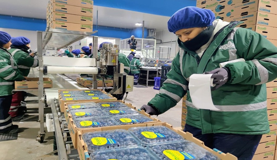 Ministro Angel Manero agroexportaciones crecerán 20% en los próximos años