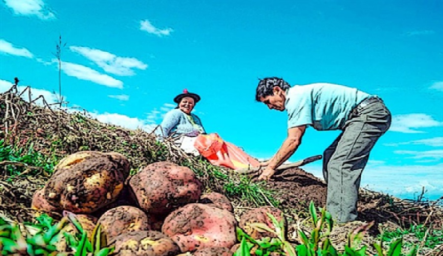 Nueva Ley Agraria más empleo y competitividad