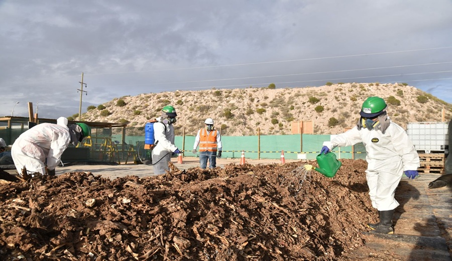 Quellaveco produce más de 800 toneladas de compost para impulsar la agricultura en Moquegua